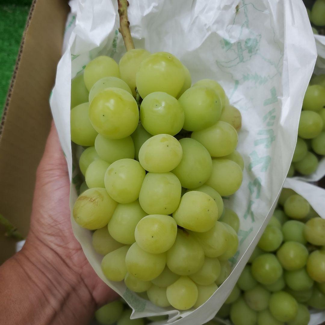 5️⃣ 山梨県産 シャインマスカット７房入り 箱込み5.6キロ