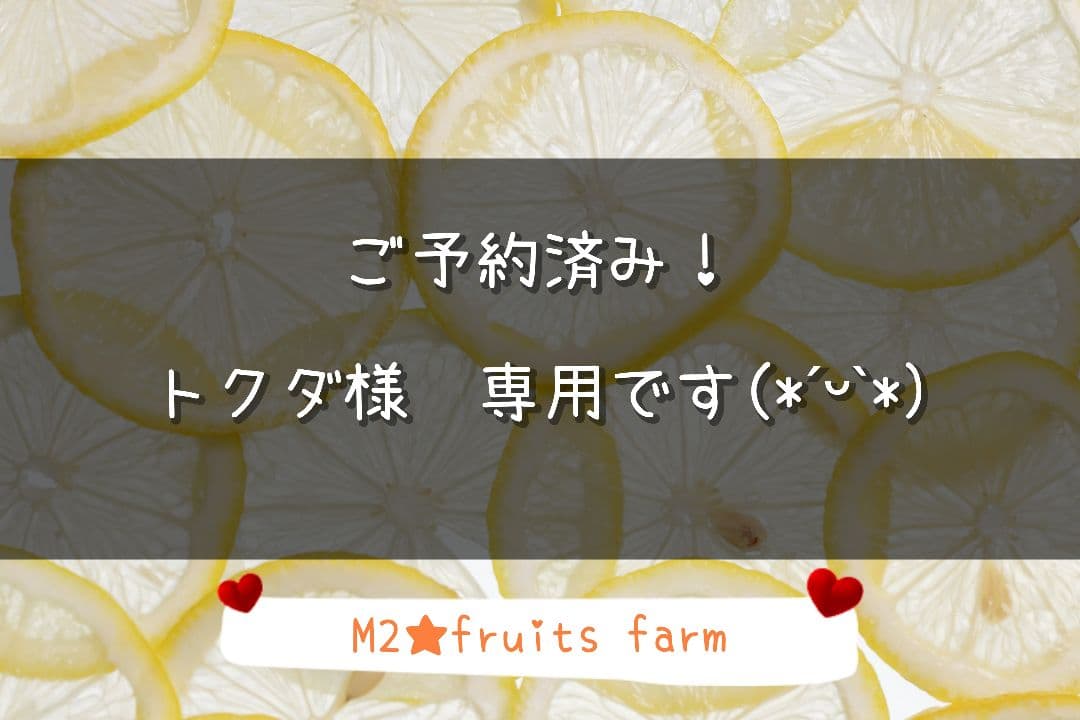 【ꕤ391】熊本県産 赤姫レモン 20kg（国産レモン）