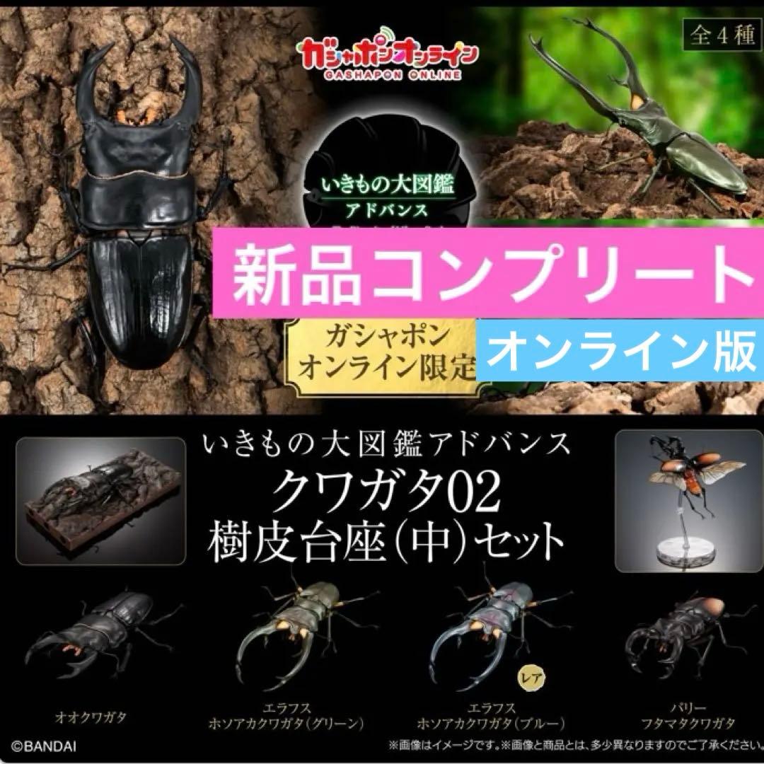 【新品コンプリート】いきもの大図鑑アドバンス　クワガタ02 ガチャガチャ