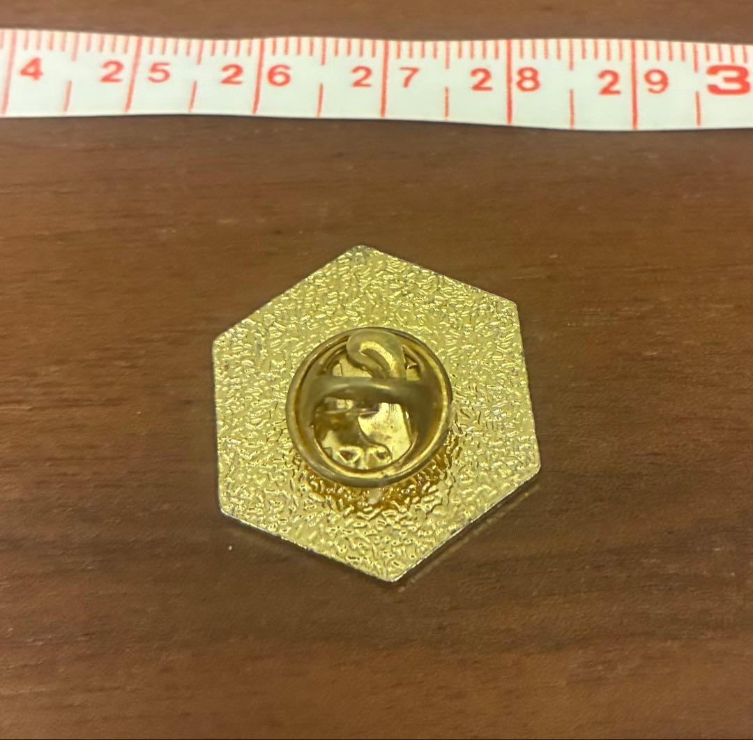 ⭐︎レア！関西大阪EXPO万博2025/USA限定ピンバッジ