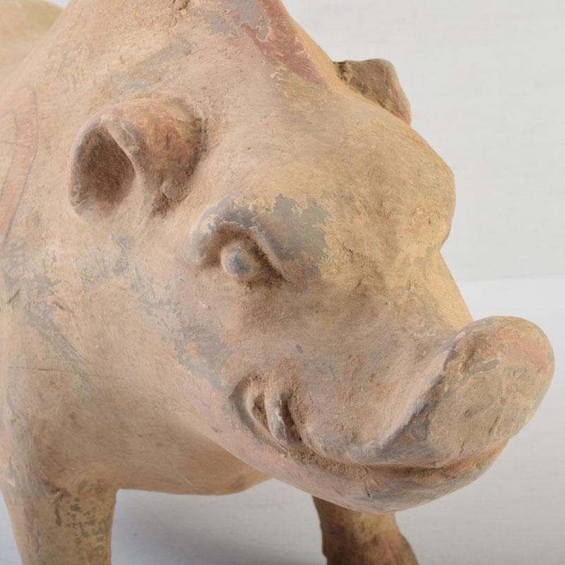 中国　加彩　豚俑　陶俑　置物　V　9049AE