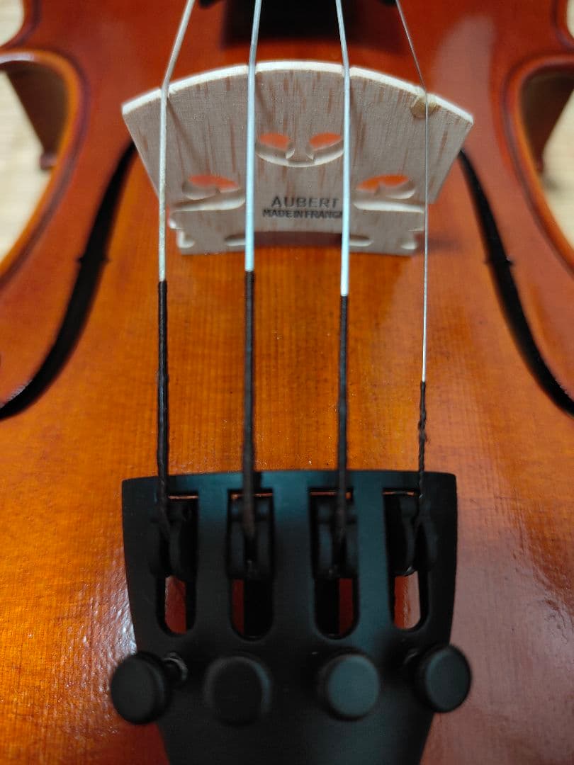 ヴァイオリンNicola SantiニコロサンティNSN60S 4/4 消音器付