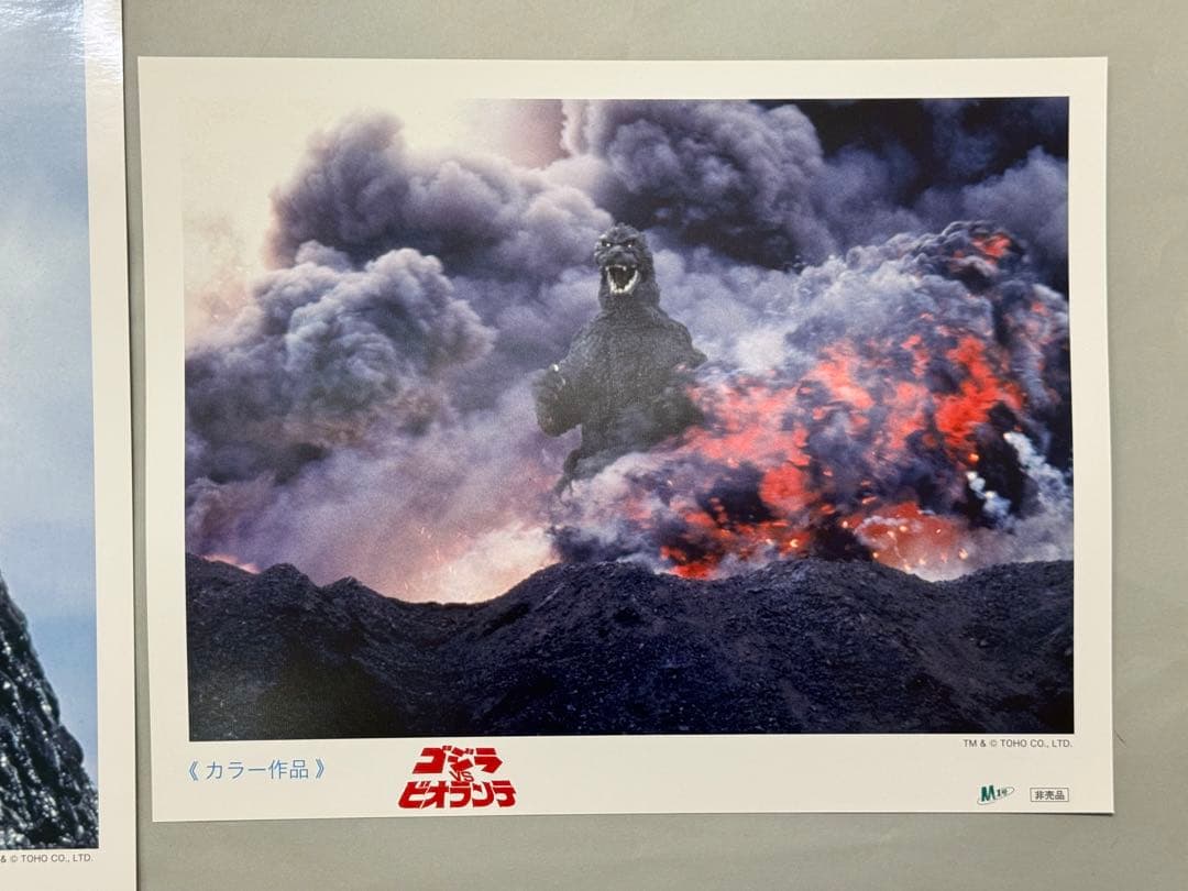 M1号限定　ゴジラVSビオランテ 写真2枚ポスター