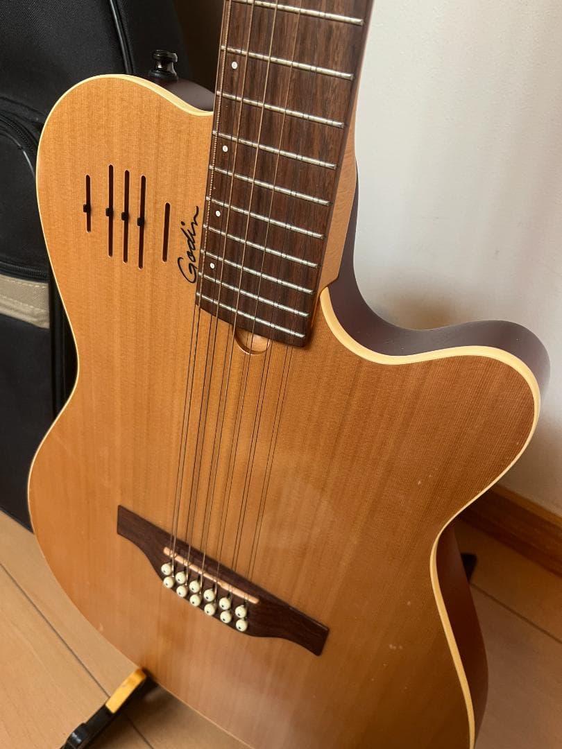 Godin　ゴダン　アコースティックギター　A-１２　１２弦ギター　エレアコ