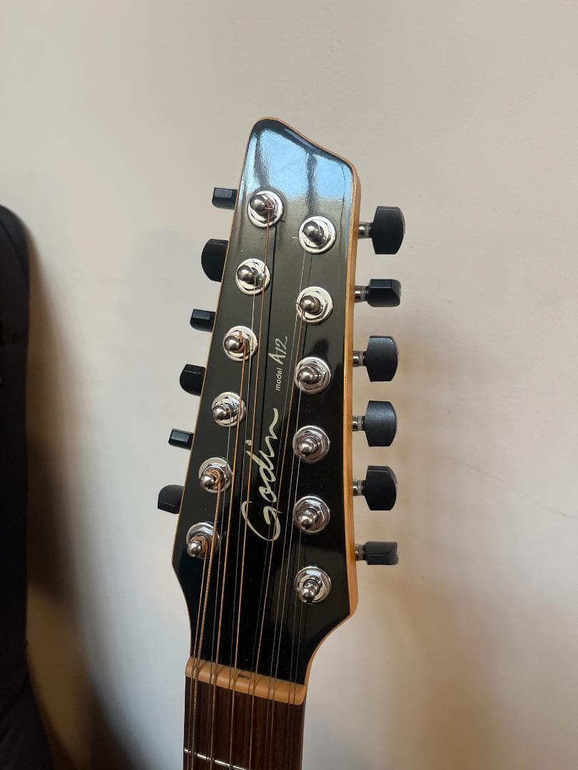 Godin　ゴダン　アコースティックギター　A-１２　１２弦ギター　エレアコ