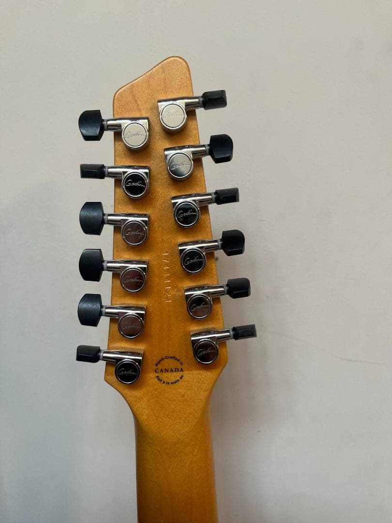 Godin　ゴダン　アコースティックギター　A-１２　１２弦ギター　エレアコ