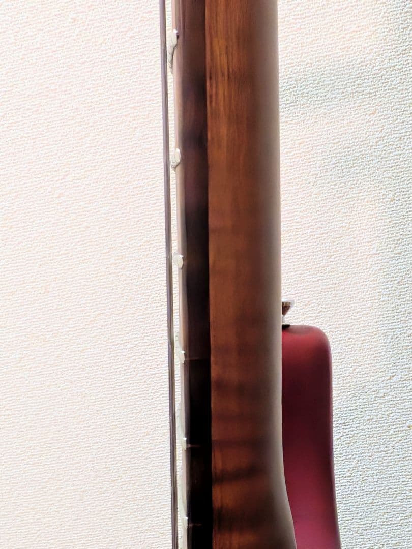 【生産終了】バッカス ストラト SSH グローバルシリーズ レリック加工