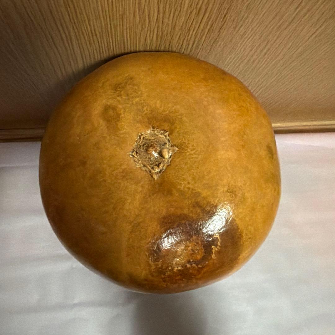 フラ イプ 楽器