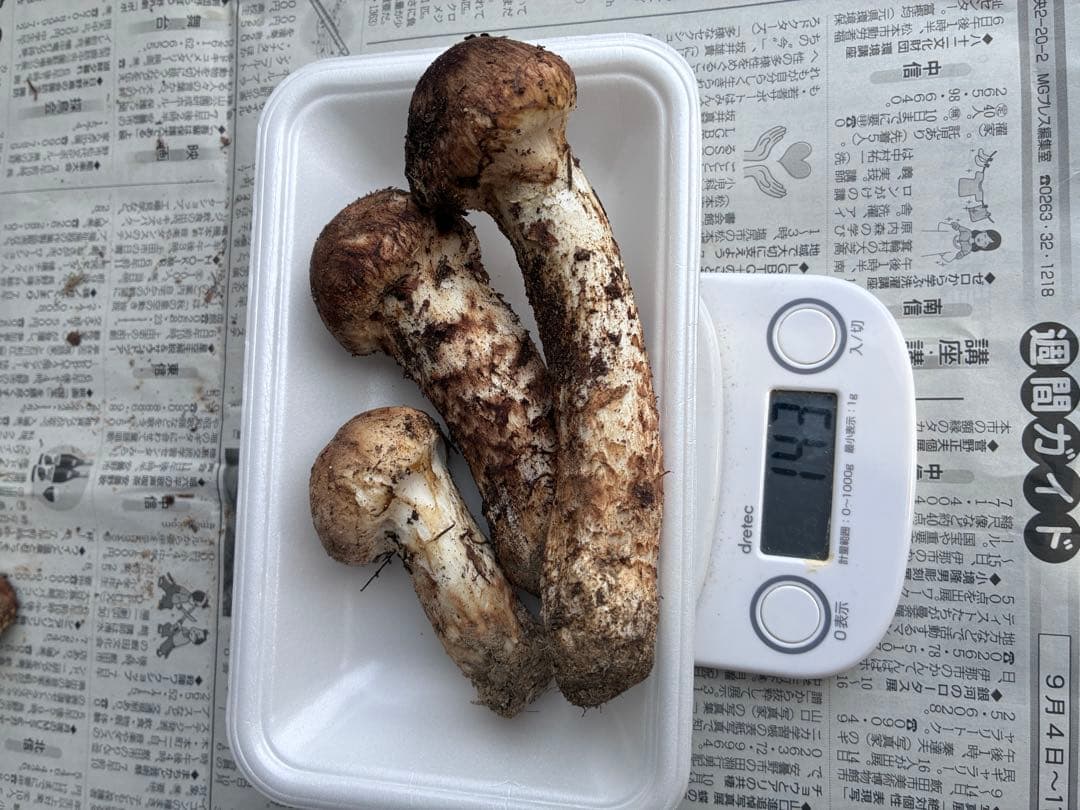 南信州産　松茸　143g