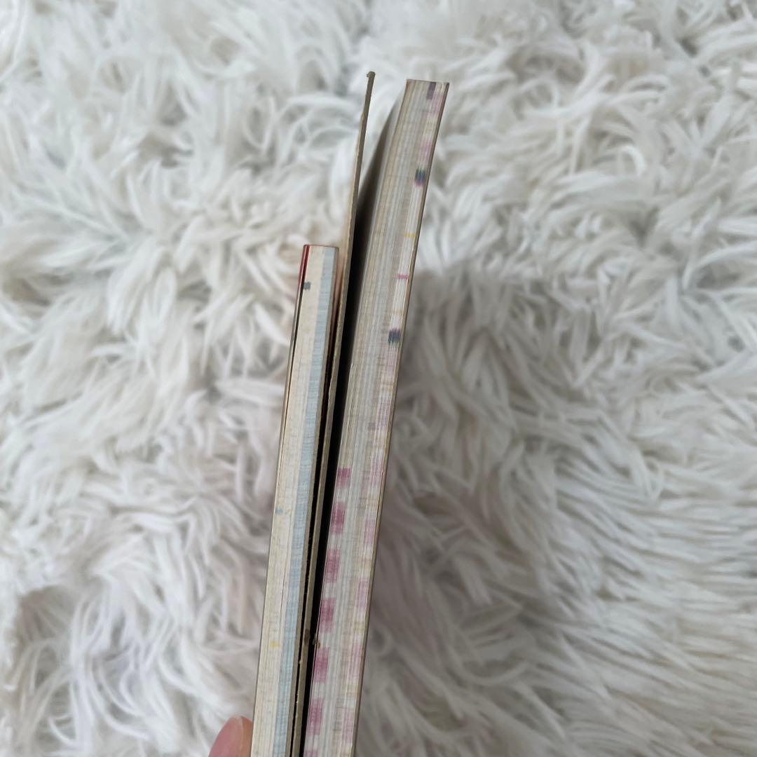 激レア　にゃんにゃんにゃんこ　にゃんこカフェ　メモ帳　2種　セット　ほぼ未使用