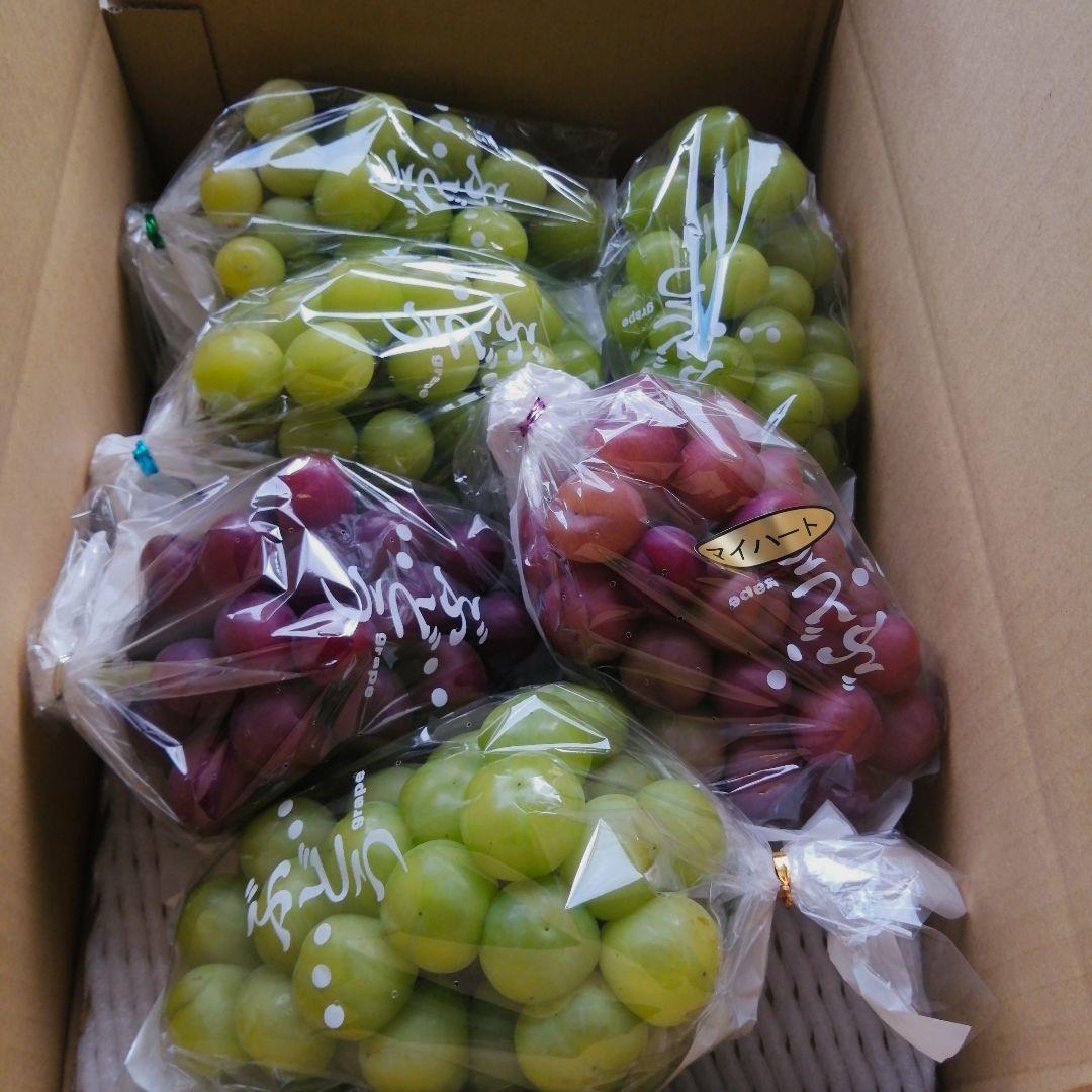 山梨県産　彩り葡萄　房　3kg箱　即日発送