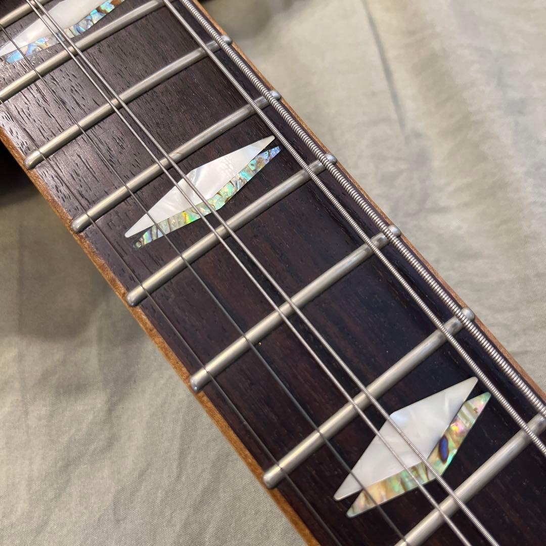 Fujigen Expert FL レスポール