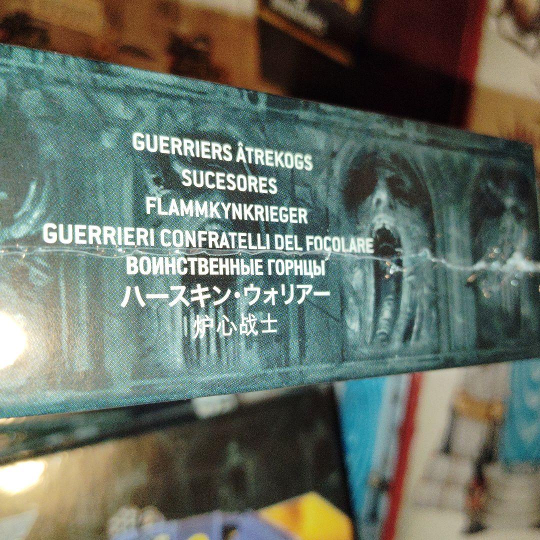 Warhammer 40,000 Hearthkyn Warriors 10体