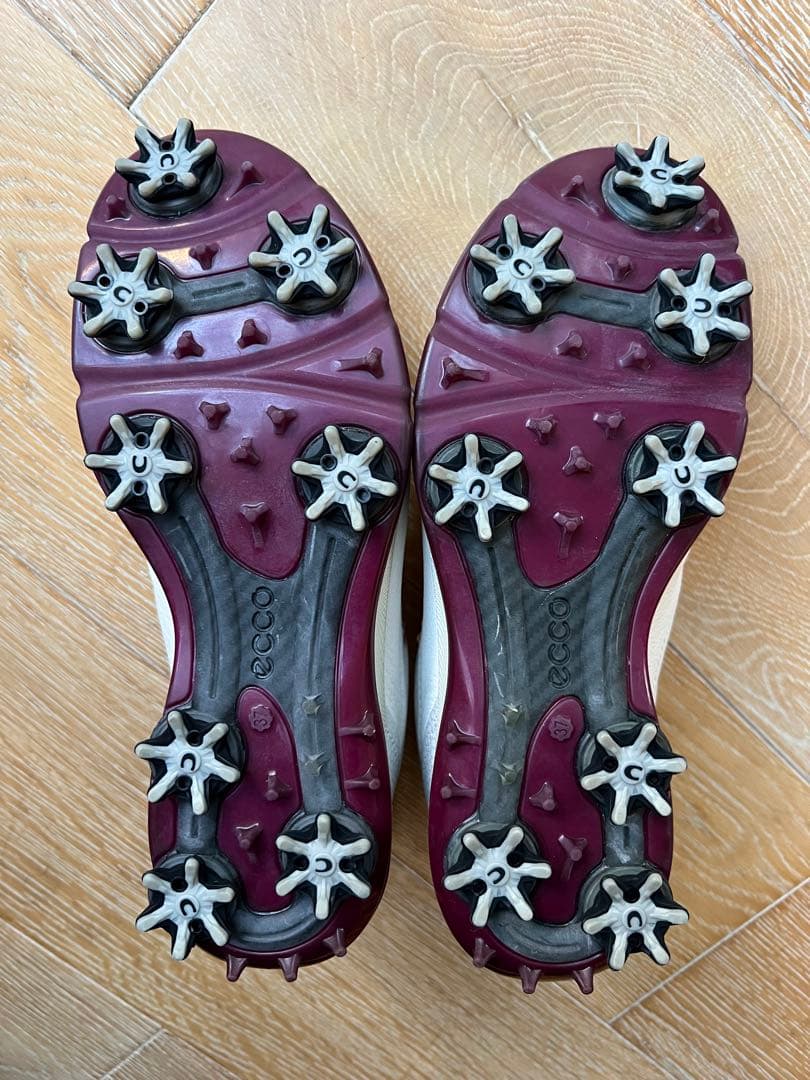 ecco BOA レディース　ゴルフシューズ