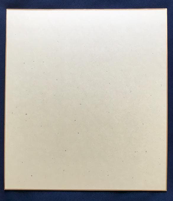 ☆ZARD 坂井泉水さん　歌手デビュー前　「色紙」