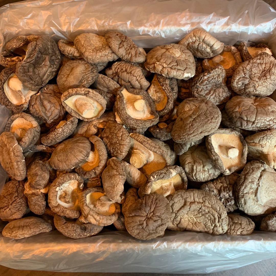 【産地直送】 乾燥椎茸　1kg 業務用　しいたけ　岩手県産　東北の味　美味しい