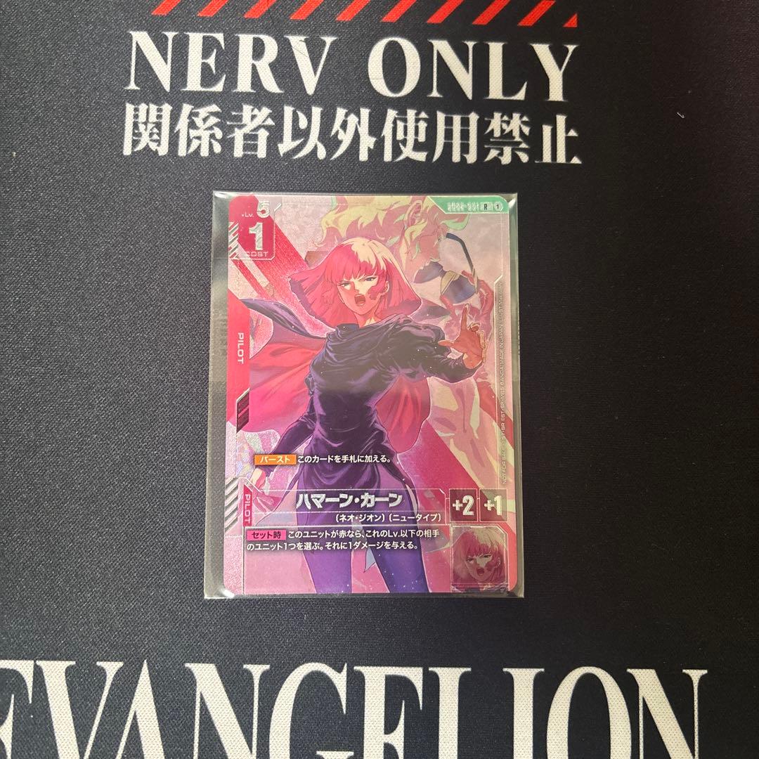 ニュータイプチャレンジ　ハマーン・カーン