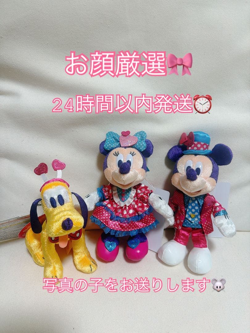 お顔厳選　ぬいぐるみバッジ ミニー ミッキー プルート パルパル