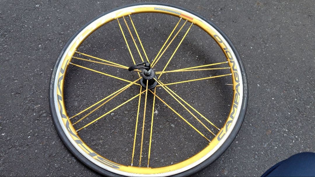 カンパニョーロ　シャマルゴールド カンパフリー