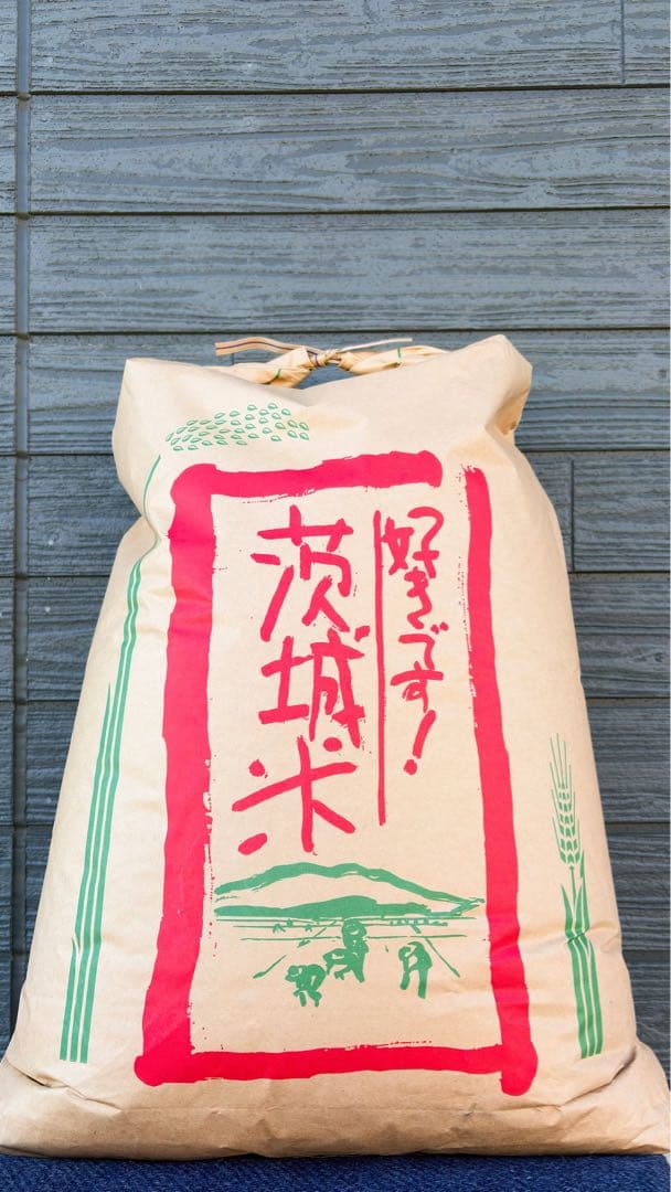 茨城県産 コシヒカリ30キロ 玄米