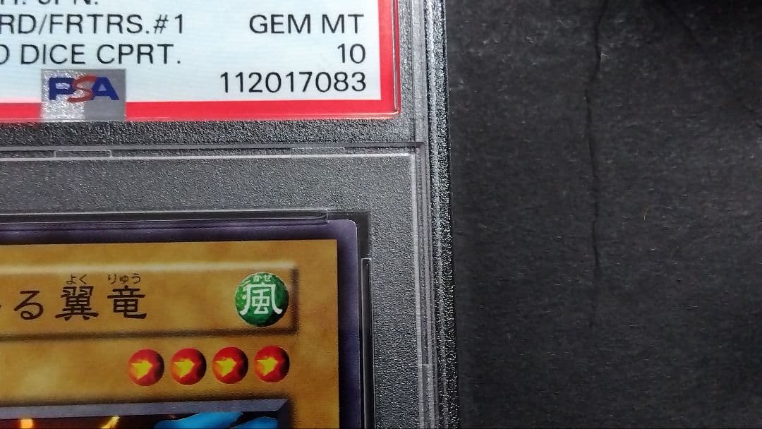 【PSA10】「砦を守る翼竜」初期 スーパー スタジオダイス版