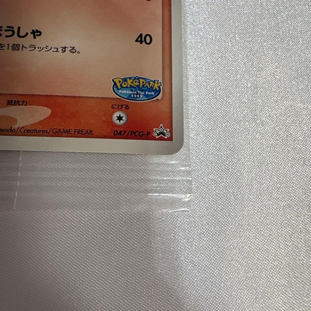 ポケパークのアチャモ プロモ 047/PCG-P ポケモンカード