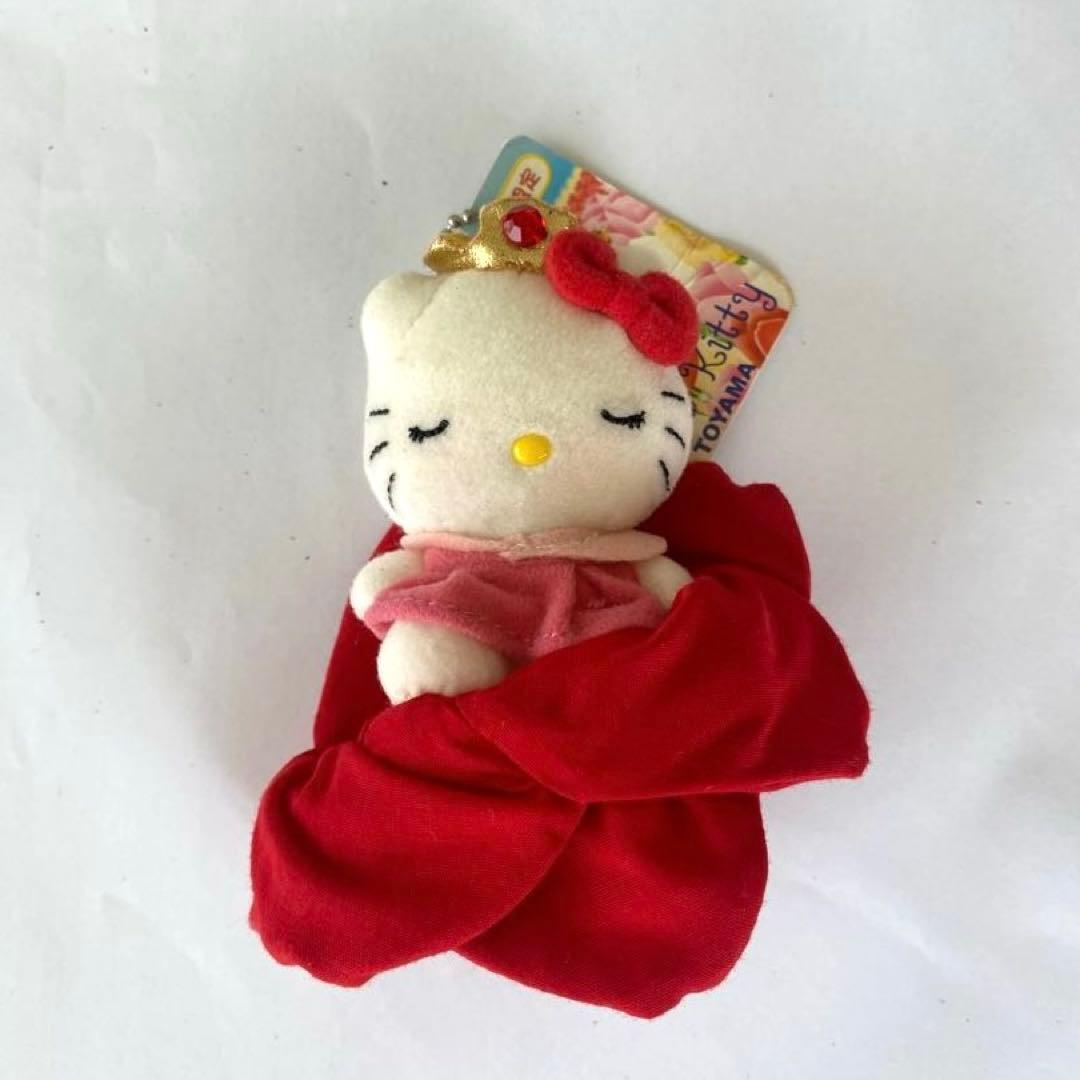 レア！富山限定 ご当地キティ チューリップ公園　ぬいぐるみ