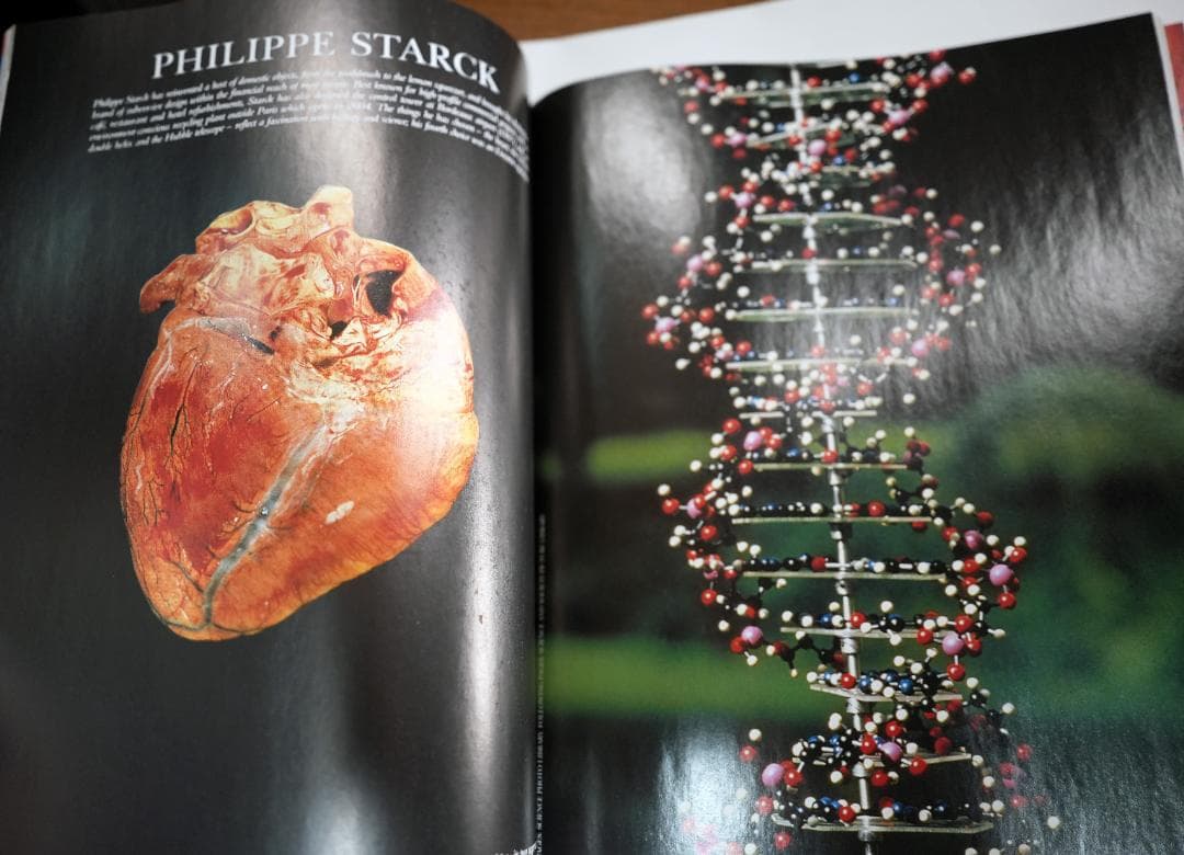 Interior Worlds Year 2000 1月号&別冊コムデギャルソン