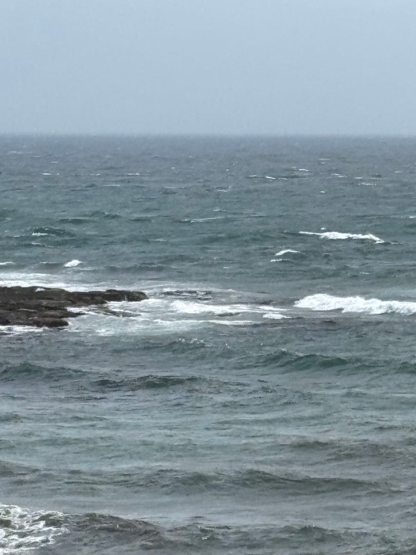 訳あり3kg早煮昆布2kg 合計5kg 200g×25袋