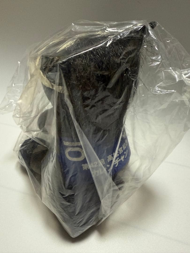 アイドルホース　カレンチャン