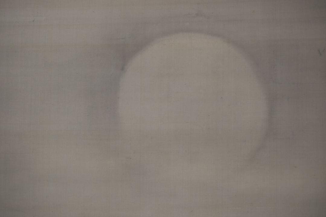 【真作】長谷川玉峰/春秋月雁之図/双幅/掛軸☆宝船☆Y-969　JM