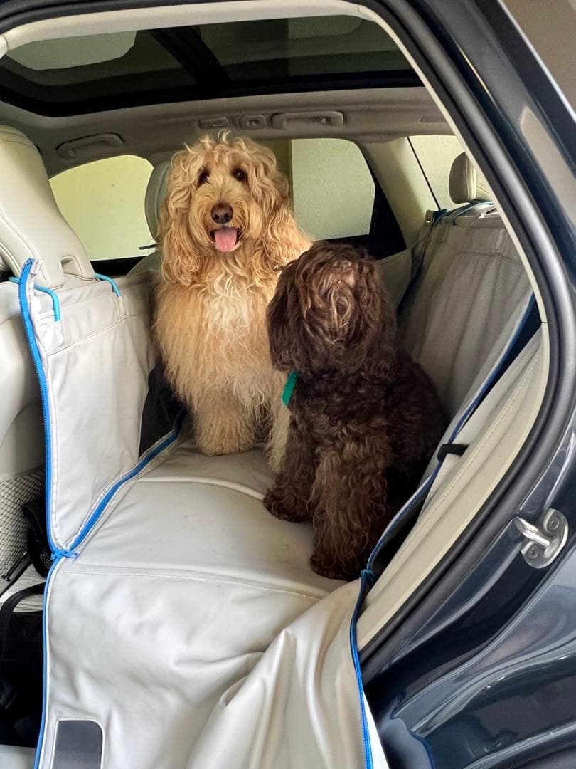 VOLVO純正　ドッグベッド