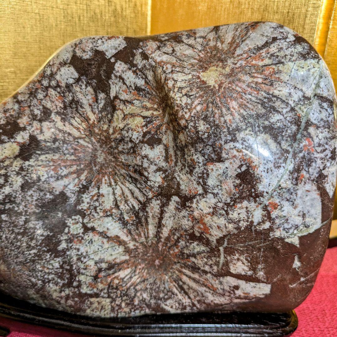 【Gojyo】菊花石 岐阜県根尾谷産5.2㌔ 鑑賞石 観賞石 水石 盆石