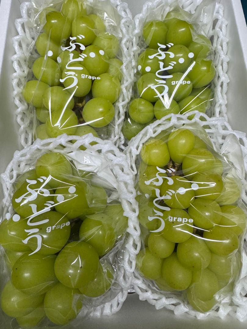 山形県産ぶどう 冷蔵貯蔵 『シャインマスカット』資材込み約2キロ×2箱