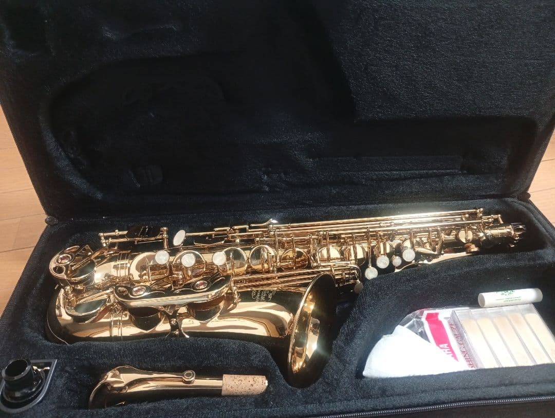 J.Michael　Jマイケル　アルトサックス　美品　付属品充実　初心者向け