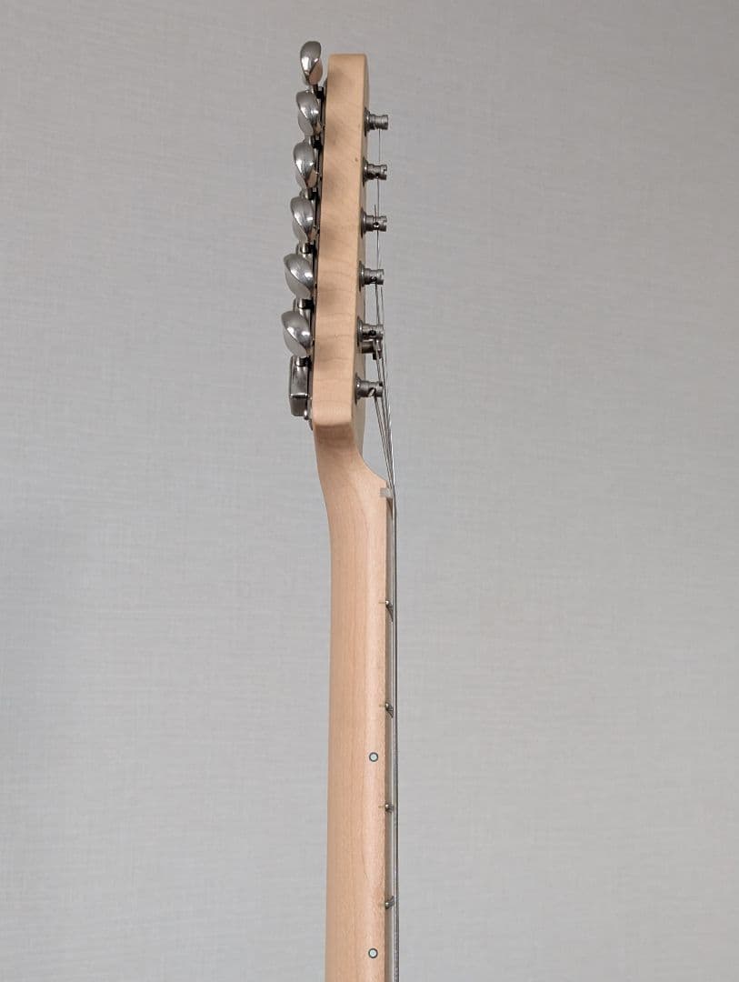 フジゲン Expert ODYSSEY EOS-ASH-M/SBB 中古