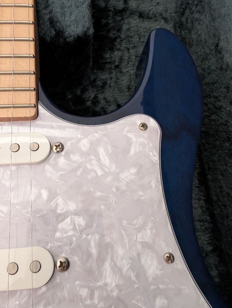 フジゲン Expert ODYSSEY EOS-ASH-M/SBB 中古