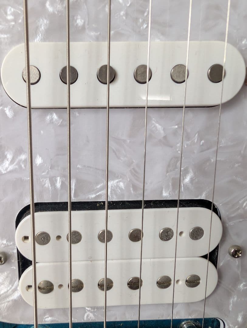 フジゲン Expert ODYSSEY EOS-ASH-M/SBB 中古