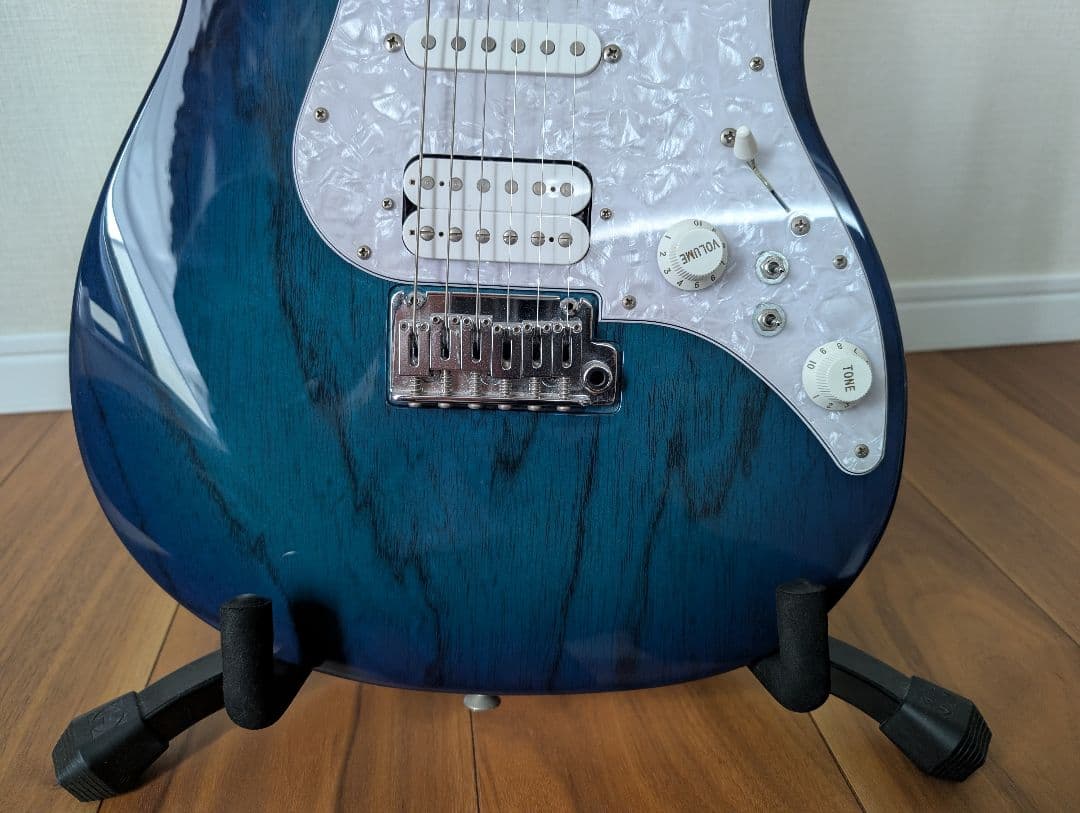 フジゲン Expert ODYSSEY EOS-ASH-M/SBB 中古