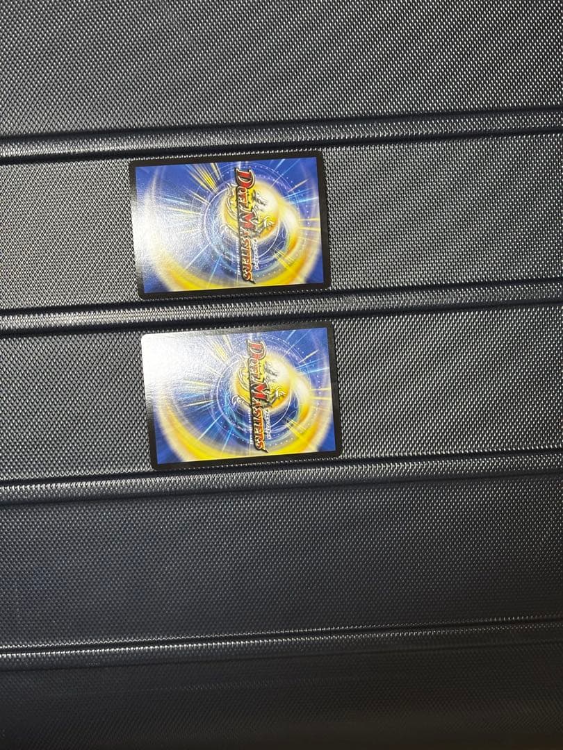 パーフェクトペテンシー真気桜と誠偽感の決断 2枚追跡付き最終値下げ