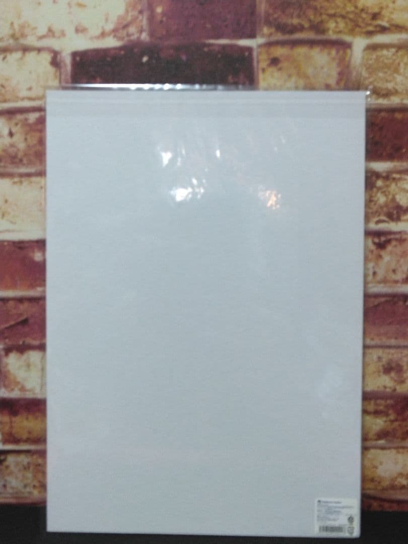 ポケモン　ミニポスター　リーリエ　グラジオ　ルザミーネ