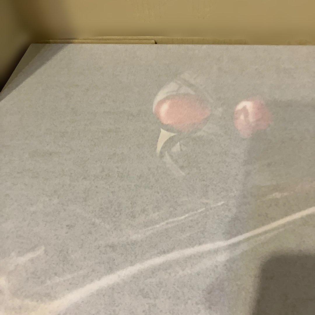 D*ン様 CSM ブレイバックル＆ラウズアブゾーバー＆ブレイラウザー