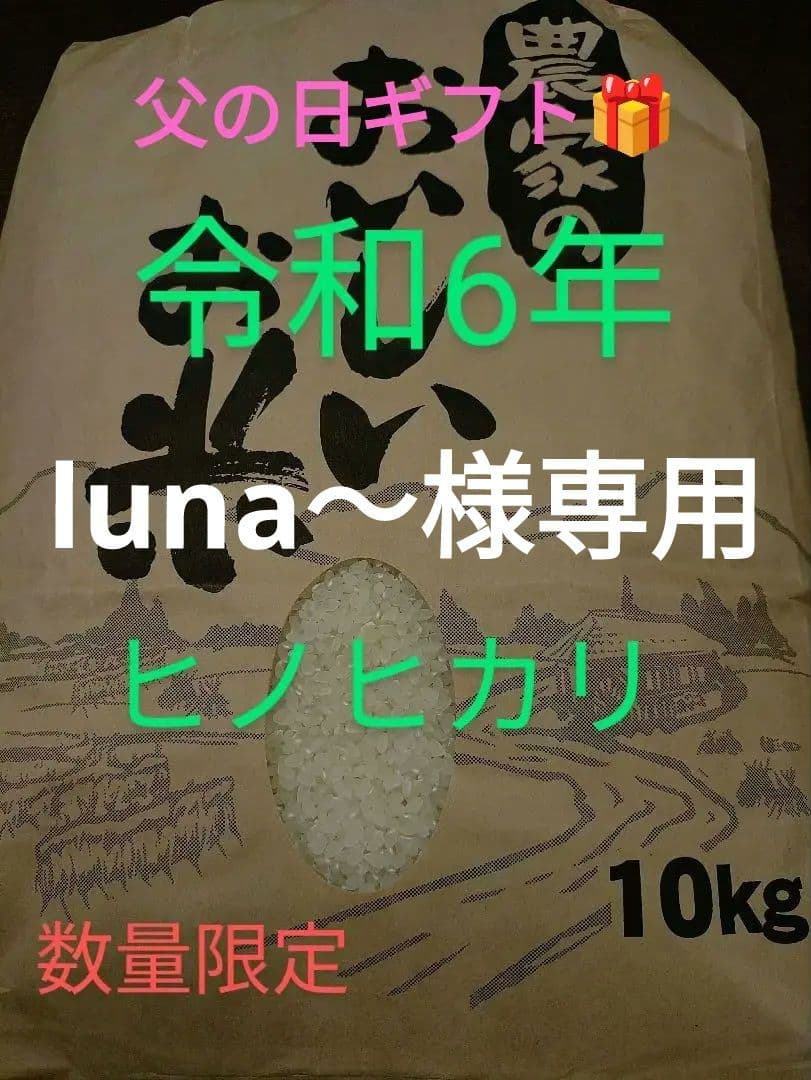 ヒノヒカリ 令和6年産 10kg 数量限定