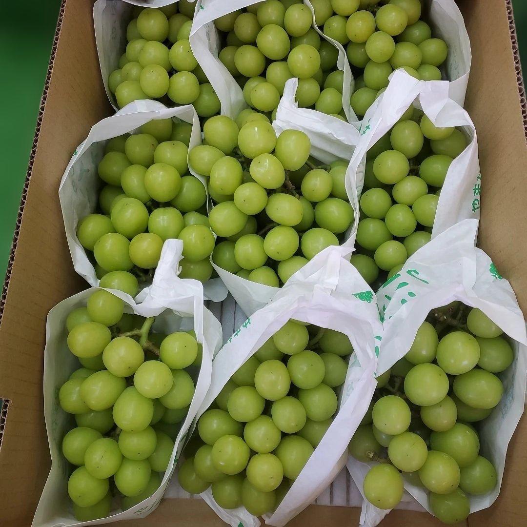 3️⃣ 山梨県産 シャインマスカット ９房入り 箱込み5.4キロ