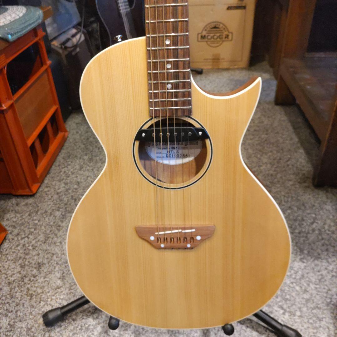 GrassRoots G-AC-45 エレアコ (管理ワテ)