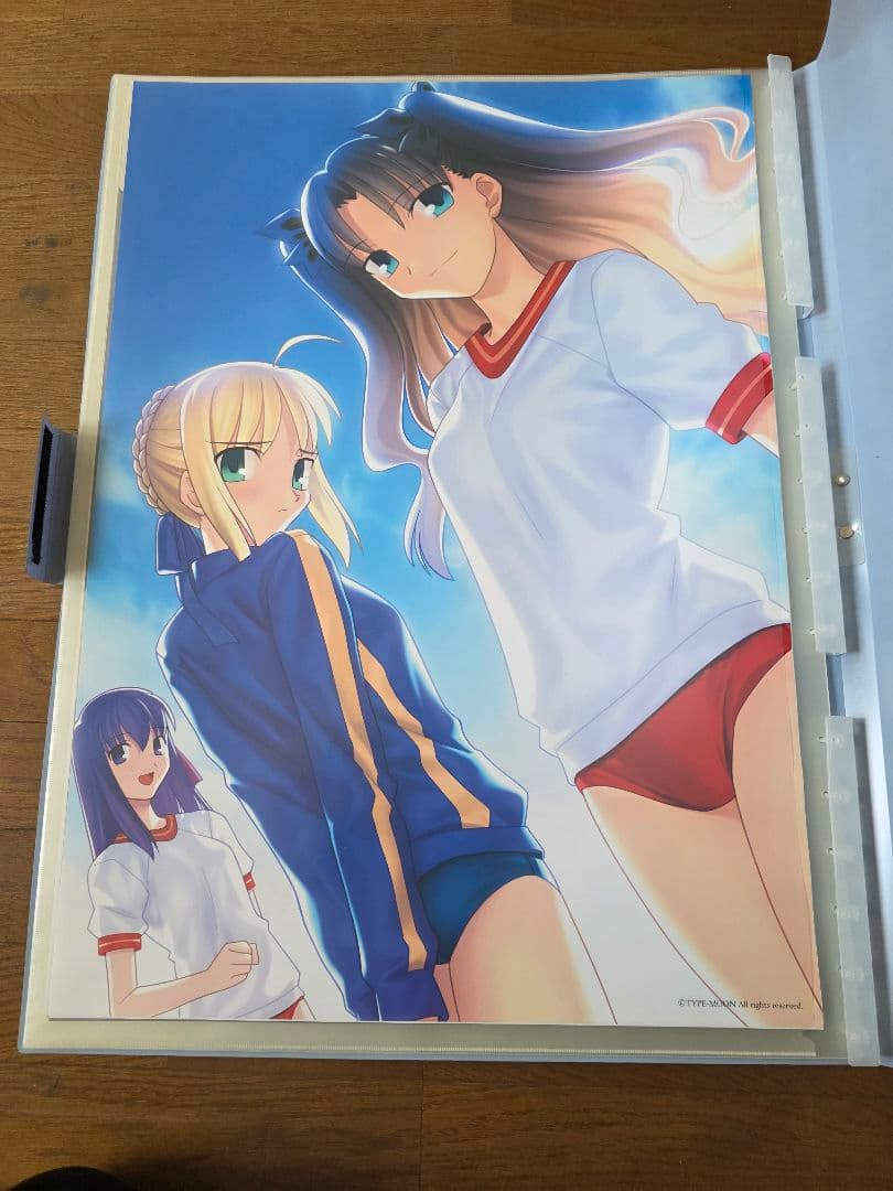 Fate/stay night ファイル　絵　画　ポスター　10枚セット