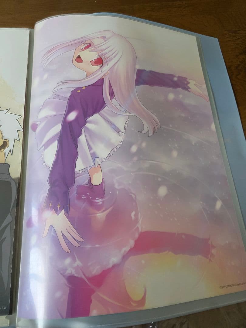 Fate/stay night ファイル　絵　画　ポスター　10枚セット