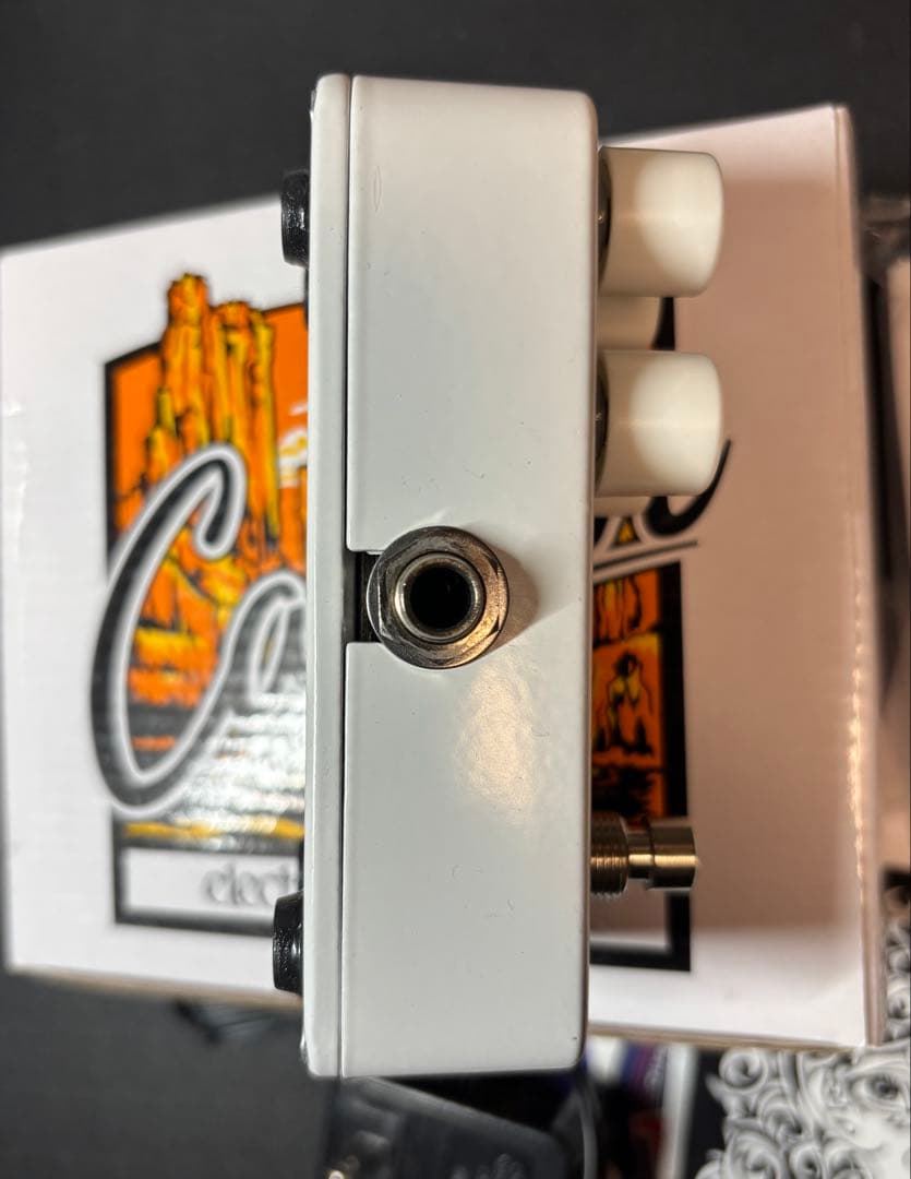 electro-harmonix Canyon ディレイ ・ルーパー 国内正規品