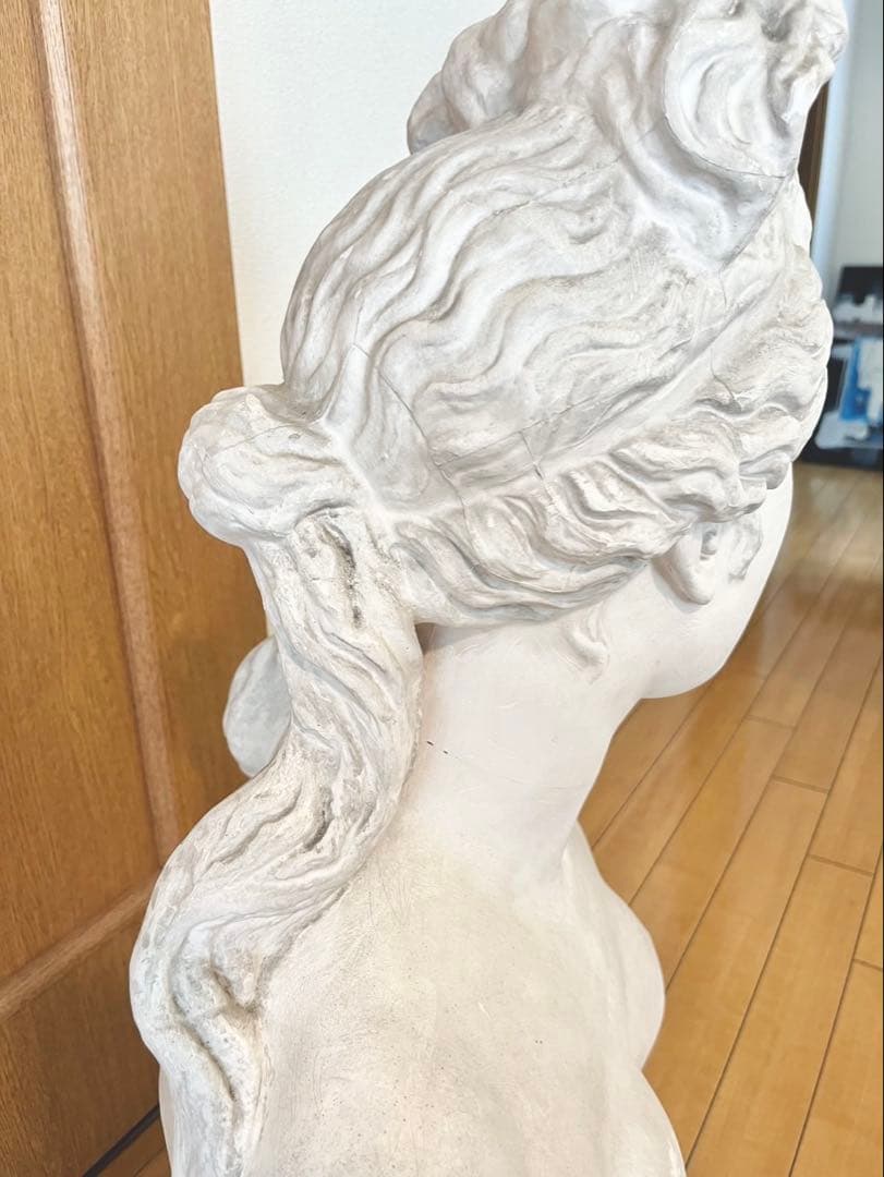 ヴィーナス 胸像 石膏像 オブジェ 美術品 デッサン