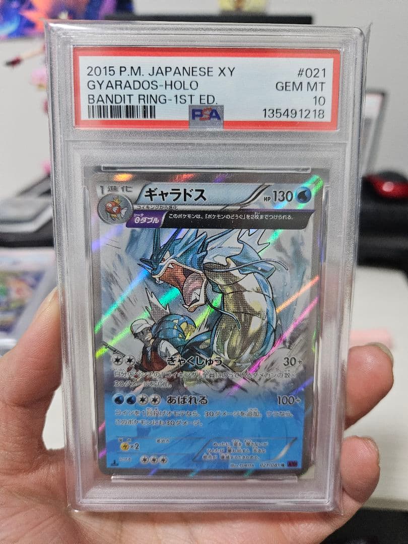 PSA10 ポケモンカード ギャラドス XY7 バンデットリング 021/081